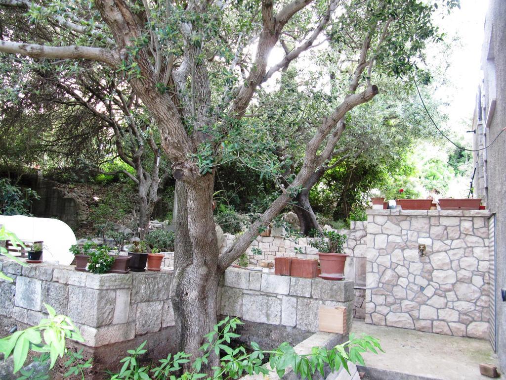 Apartmans And Rooms Dunjini Dvori Korčula Exteriér fotografie